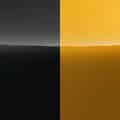 Solar Yellow Pearl Metallic x Cosmic Black Pearl Metallic