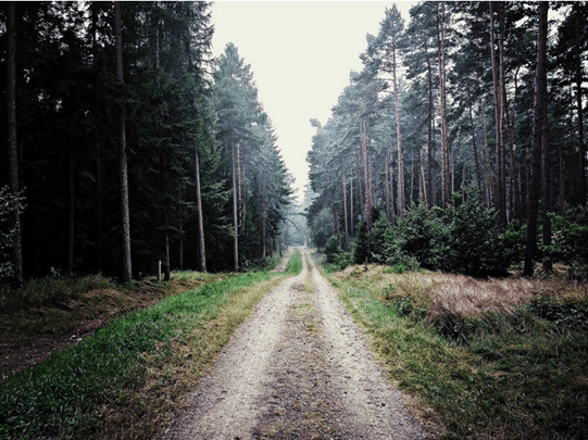 e-four neliveto metsätie